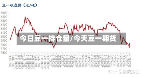 今日豆一持仓量/今天豆一期货