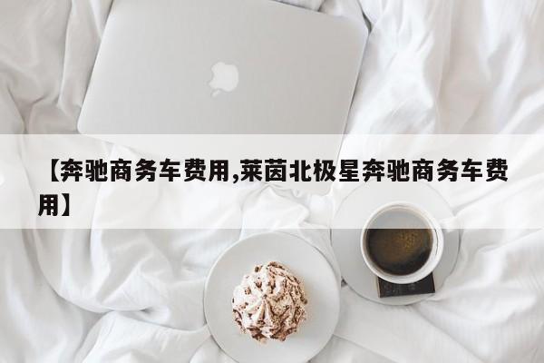 【奔驰商务车费用,莱茵北极星奔驰商务车费用】