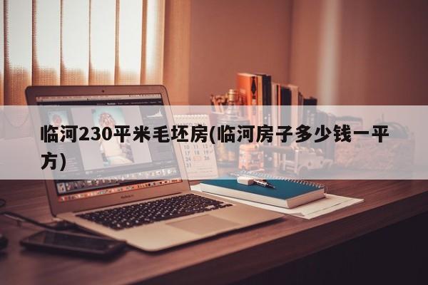 临河230平米毛坯房(临河房子多少钱一平方)