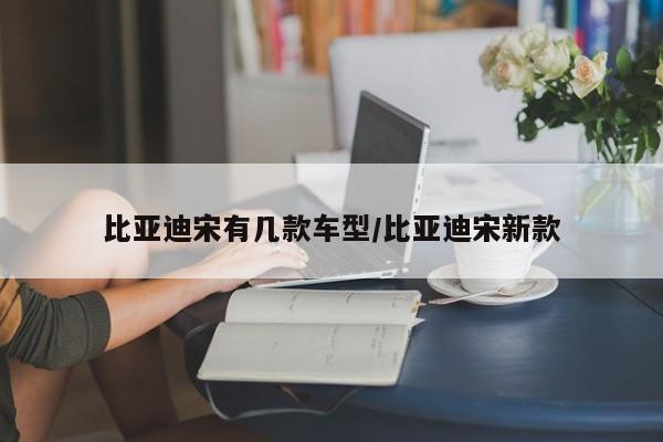 比亚迪宋有几款车型/比亚迪宋新款