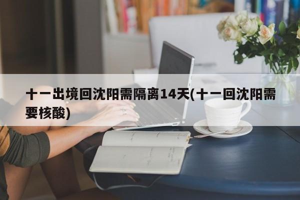 十一出境回沈阳需隔离14天(十一回沈阳需要核酸)